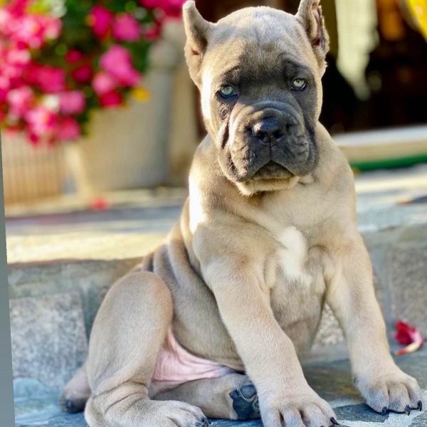 WhatsApp Image 2025-05-25 at 10.53.32 PM